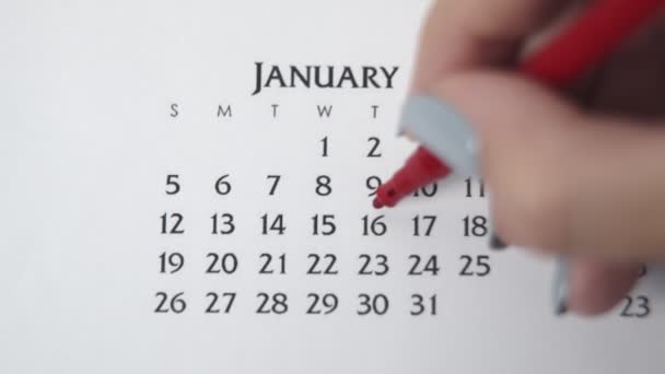 Samice kruh den v kalendářním datu s červenou značkou. Business Basics Wall Calendar Planner and Organizer. 16. LEDNA — Stock video
