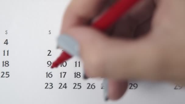 Día de círculo de la mano femenina en la fecha del calendario con un marcador rojo. Conceptos básicos de negocio Wall Calendar Planner and Organizer. 16 DE FEBRERO — Vídeos de Stock