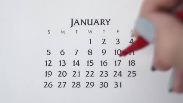 Día de círculo de la mano femenina en la fecha del calendario con un marcador rojo. Conceptos básicos de negocio Wall Calendar Planner and Organizer. ENERO 17 — Vídeos de Stock