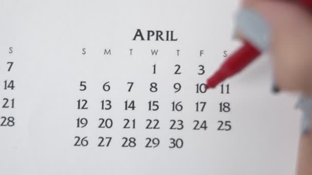 Wanita lingkaran tangan hari dalam tanggal kalender dengan penanda merah. Business Basics Wall Calendar Planner and Organizer (dalam bahasa Inggris). Tanggal 17 April — Stok Video