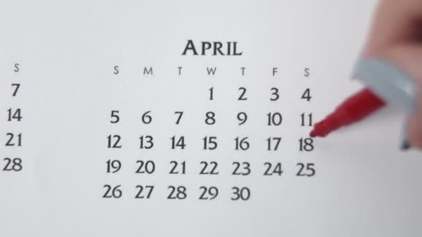 Dia círculo mão feminino em data de calendário com um marcador vermelho. Noções básicas de negócios Wall Calendar Planner and Organizer. 18 de Abril — Vídeo de Stock