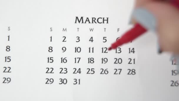 Vrouwelijke handcirkeldag in kalenderdatum met een rode stift. Business Basics Wall Calendar Planner en Organisator. 19 maart — Stockvideo