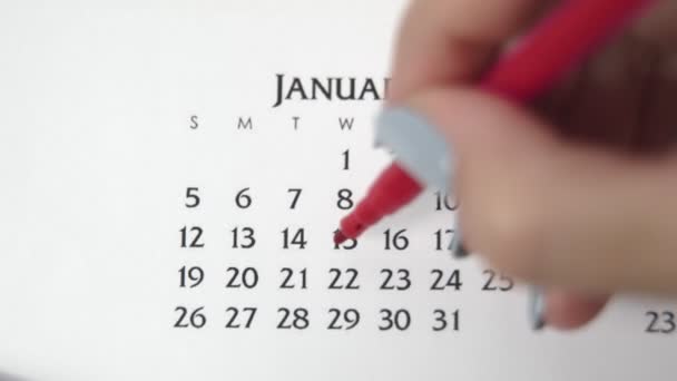 Weiblicher Handkreistag im Kalenderdatum mit roter Markierung. Business Basics Wall Calendar Planer und Organisator. 22. Januar — Stockvideo