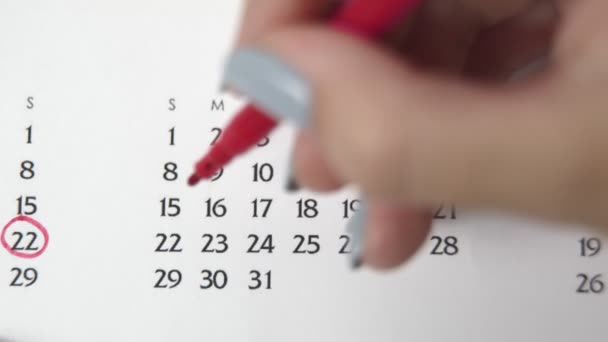 Giorno di cerchio di mano femminile in data di calendario con un marcatore rosso. Business Nozioni di base Wall Calendar Planner e organizzatore. 22 MARZO — Video Stock