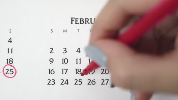 Femme cercle de main jour dans la date du calendrier avec un marqueur rouge. Business Basics Planificateur et organisateur de calendrier mural. 25 FÉVRIER — Video