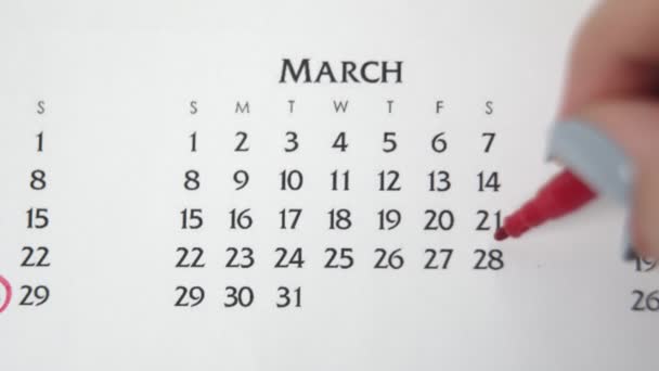 Női kéz kör nap naptár dátum egy piros marker. Üzleti alapok Falinaptár tervező és szervező. MÁRCIUS 28. — Stock videók
