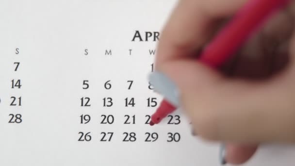 Kvinnlig hand cirkel dag i kalenderdatum med en röd markör. Business Basics Wall Calendar Planerare och arrangör. APRIL 29:e — Stockvideo