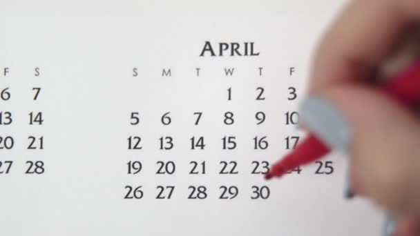 赤いマーカーでカレンダー日付の女性の手の円の日。ビジネスの基本壁カレンダープランナーと主催者。エイプリル30日 — ストック動画