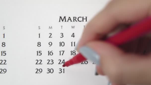 Kvinnlig hand cirkel dag i kalenderdatum med en röd markör. Business Basics Wall Calendar Planerare och arrangör. Den 31 mars — Stockvideo