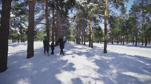 有两个孩子的年轻家庭雪地漫步在冬季公园 — 图库视频影像