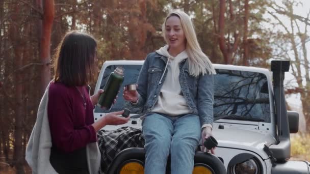 Two young women girlfriends drinks tea from the thermos in autumn forest — Stock Video