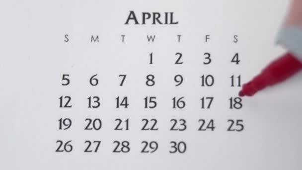 Female hand circle day in calendar date with a red marker. Business Basics Wall Calendar Planner and Organizer. APRIL 18th — Stock Video