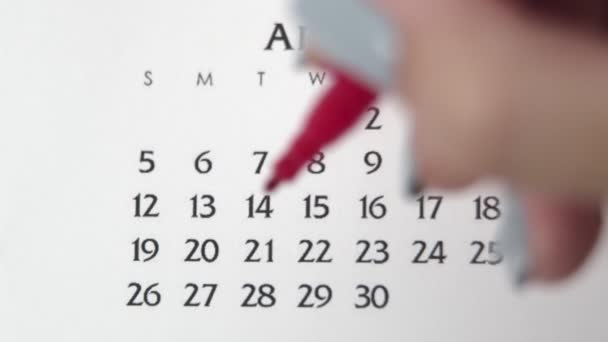 Dia círculo mão feminino em data de calendário com um marcador vermelho. Noções básicas de negócios Wall Calendar Planner and Organizer. 22 de Abril — Vídeo de Stock