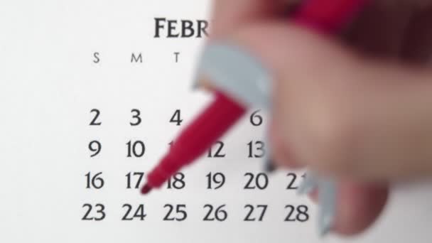 Dia círculo mão feminino em data de calendário com um marcador vermelho. Noções básicas de negócios Wall Calendar Planner and Organizer. FEVEREIRO 24 — Vídeo de Stock