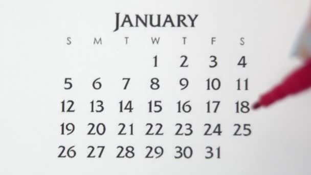 Weiblicher Handkreistag im Kalenderdatum mit roter Markierung. Business Basics Wall Calendar Planer und Organisator. 25. JANUAR — Stockvideo