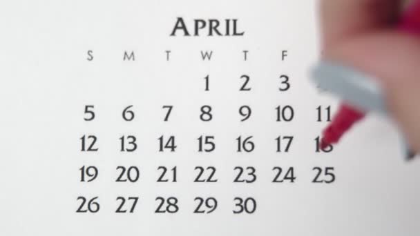 Día de círculo de la mano femenina en la fecha del calendario con un marcador rojo. Conceptos básicos de negocio Wall Calendar Planner and Organizer. 25 DE ABRIL — Vídeos de Stock