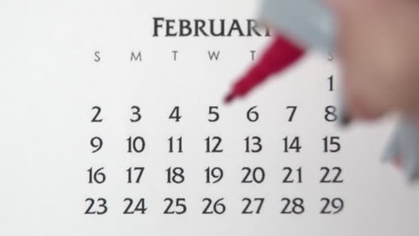 Dia círculo mão feminino em data de calendário com um marcador vermelho. Noções básicas de negócios Wall Calendar Planner and Organizer. FEVEREIRO 26 — Vídeo de Stock