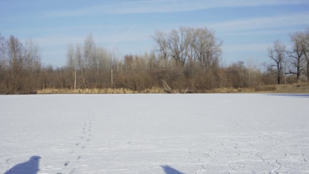 크리스마스 산타 모자를 쓰고 스케이트를 타고 숲 속의 얼어붙은 호수에서 즐거운 시간을 보내는 젊은 친구들 — 비디오