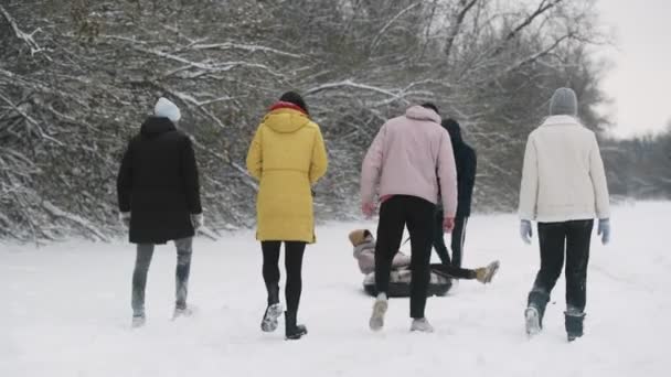 Junge Freunde haben Spaß mit Schnee im Winterwald — Stockvideo