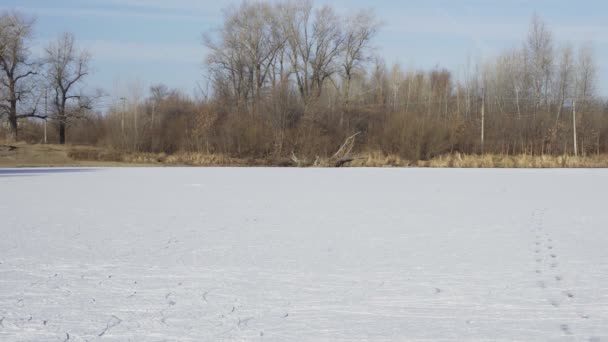 Jovens amigos felizes no Natal Papai Noel passeio de patinação no gelo e se divertir juntos em um grande lago congelado na floresta — Vídeo de Stock