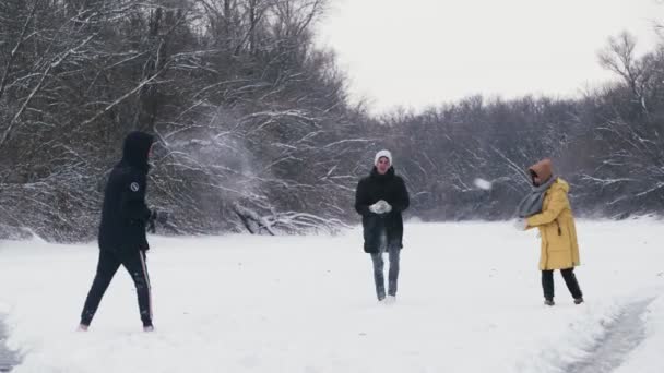Amigos felices juegan con bolas de nieve en el bosque de invierno — Vídeos de Stock