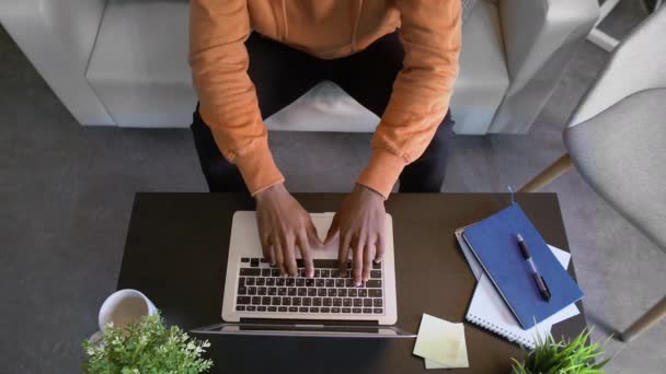 Top view of african american student freelancer sits on couch and types on laptop keyboard — Stock Video