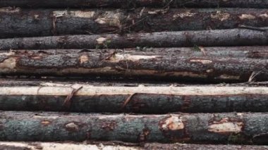 Kapı yapımı. İçinde delikler olan tahta yığını. Atölyede mobilya yapıyorum. Yakın plan..