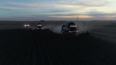 Gece çalışan ayçiçeği tarlasını hasat etmek için üç hasat makinesi. Ayçiçeği tarlasını hasat eden hasat makinesini birleştirin. Hasattan sonra bir tarla.