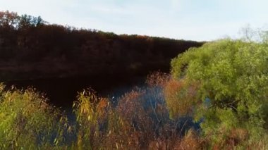 Drone sonbahar ormanında uçuyor. Renkli ormanın canlı doğal arka planı. Kırmızı ve sarı ağaçlı orman, yukarıdan görünüyor. Orman arka planındaki sonbahar ağaçlarının havadan görünüşü.