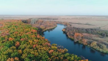 Finlandiya 'nın güzel sonbahar doğa manzarası. Nehrin üzerinde uçuyor, bataklıklar, karışık ormanlar, yeşil yapraklar ve sarı normal ağaçlar..