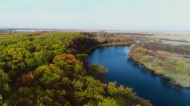 Drone sonbahar ormanında uçuyor. Renkli ormanın canlı doğal arka planı. Kırmızı ve sarı ağaçlı orman, yukarıdan görünüyor. Orman arka planındaki sonbahar ağaçlarının havadan görünüşü.