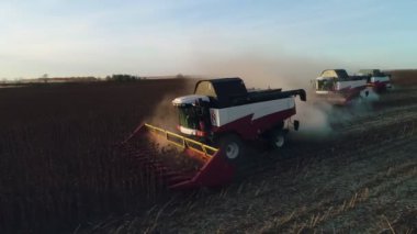 Gece çalışan ayçiçeği tarlasını hasat etmek için üç hasat makinesi. Ayçiçeği tarlası hasat eden tarım makinelerini birleştirin. Hasattan sonra bir tarla.