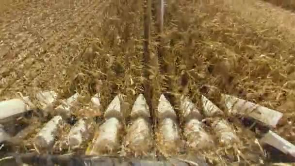 Крупним планом сучасні комбайни збирають стиглої пшениці, залишаючи за собою хмару пилу в пшеничному полі . — стокове відео