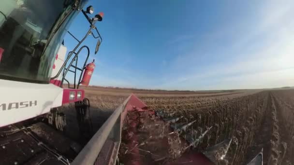 Close-up of a plow that plows the land in a field and in the ground cuts a ditch for planting.Preparing the soil for planting crops. — Stock Video