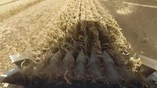 Close up de colheitadeira moderna recolhe trigo maduro deixando para trás uma nuvem de poeira em um campo de trigo. — Vídeo de Stock