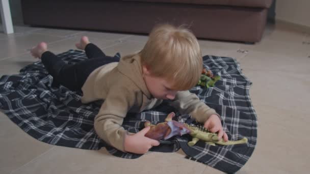 Little boy playing with toy dinosaurs on floor — Stock Video