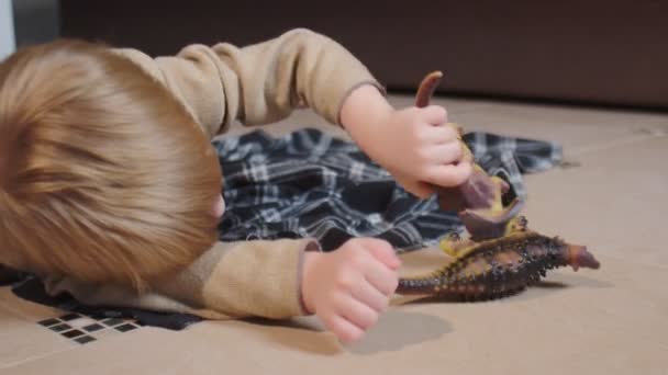 Little boy lays on floor and plays with toy dinosaurs at home — Stock Video