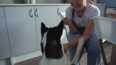 Güzel küçük kız mutfakta güzel bir köpekle oynuyor.