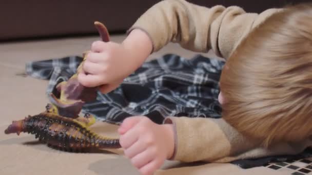 Little boy lays on floor and plays with toy dinosaurs at home — Stock Video