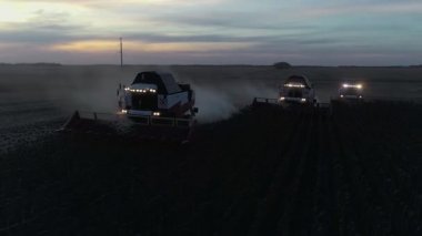 Gece çalışan ayçiçeği tarlasını hasat etmek için üç hasat makinesi. Ayçiçeği tarlasını hasat eden hasat makinesini birleştirin. Hasattan sonra bir tarla.