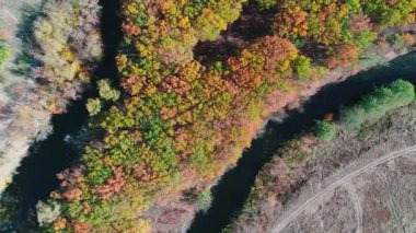 Finlandiya 'nın güzel sonbahar doğa manzarasının en güzel manzarası. Nehrin üzerinde uçuyor, bataklıklar, karışık ormanlar, yeşil yapraklar ve sarı normal ağaçlar..