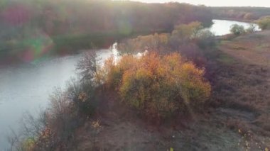 Finlandiya 'nın güzel sonbahar doğa manzarası. Nehrin üzerinde uçuyor, bataklıklar, karışık ormanlar, yeşil yapraklar ve sarı normal ağaçlar..