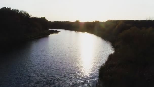 Prachtige herfst Finland natuur landschap. Vliegen boven rivier, moerassen, gemengd bos, groene sparren en gele regelmatige bomen. — Stockvideo