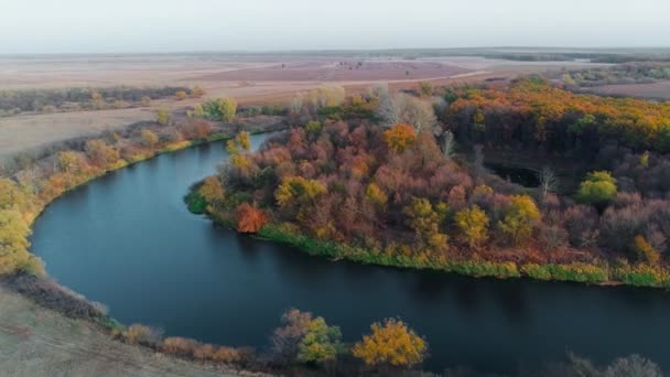 Vanuit de lucht uitzicht op de rivier en het prachtige Russische platteland tijdens de herfst. Uitzicht op herfstkleur bos, vanuit de lucht uitzicht over kleurrijke bomen, op een zonnige herfstdag. Herfst luchtfoto drone bovenaanzicht. — Stockvideo