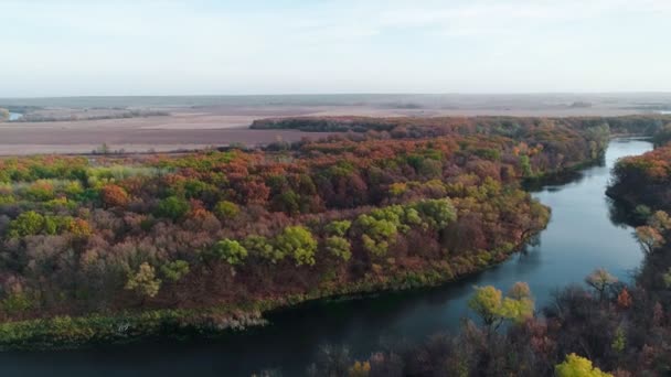 美しい秋のフィンランドの自然景観のトップビュー。川、沼、混合林、緑のスプルースと黄色の通常の木の上を飛ぶ. — ストック動画