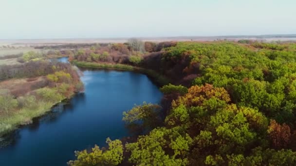 Drone sonbahar ormanında uçuyor. Renkli ormanın canlı doğal arka planı. Kırmızı ve sarı ağaçlı orman, yukarıdan görünüyor. Orman arka planındaki sonbahar ağaçlarının havadan görünüşü. — Stok video