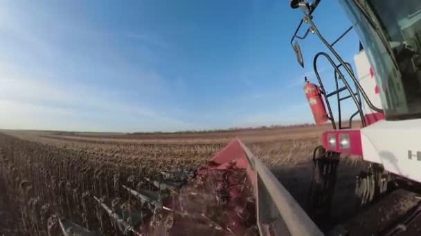 Close-up of a plow that plows the land in a field and in the ground cuts a ditch for planting.Preparing the soil for planting crops. — Stock Video