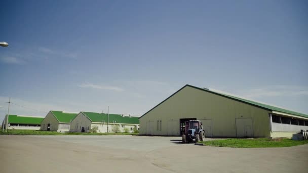 Modernos edificios vacas graneros en la granja — Vídeo de stock