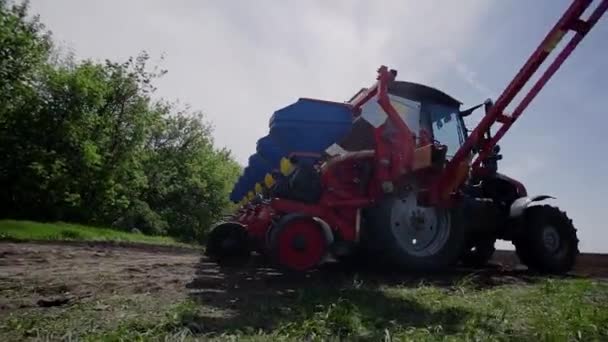 Ciągnik przygotowuje do siewu słonecznika lub pszenicy — Wideo stockowe