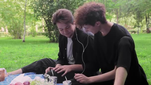 Dwóch zakochanych młodzieńców słucha muzyki w przyrodzie latem. — Wideo stockowe